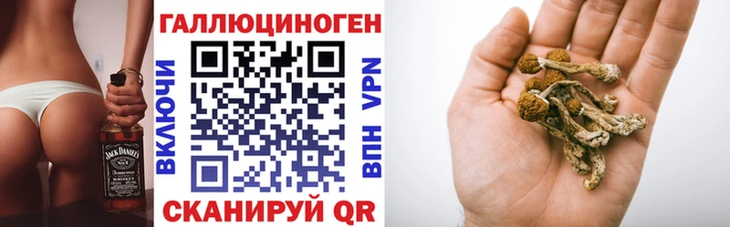 магазин дарк нет официальный сайт Псилоцибиновые грибы Psilocybe Бузулук