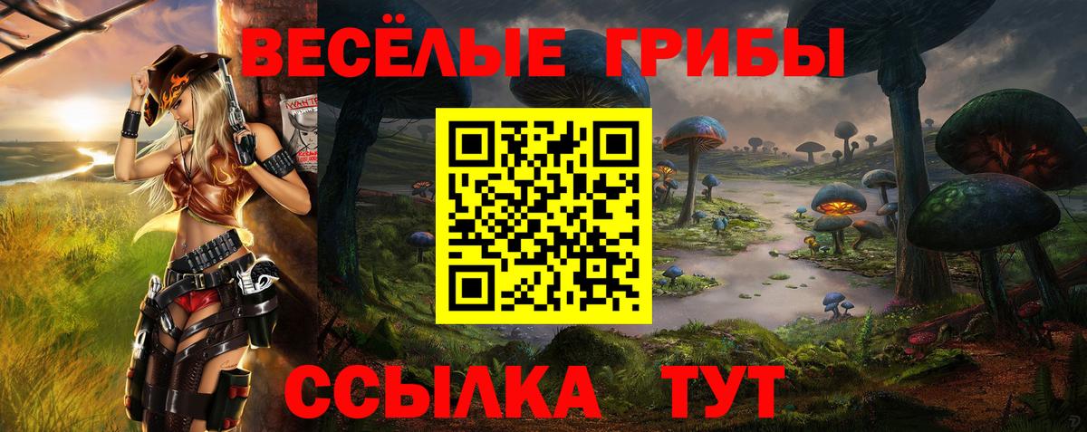 Псилоцибиновые грибы Psilocybe  Вход с VPN  Бузулук 